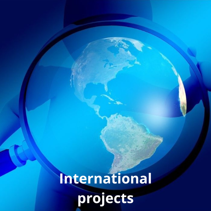mezinárodní projekty