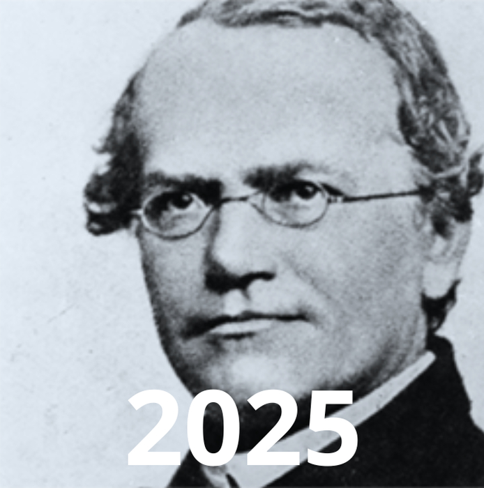 2025