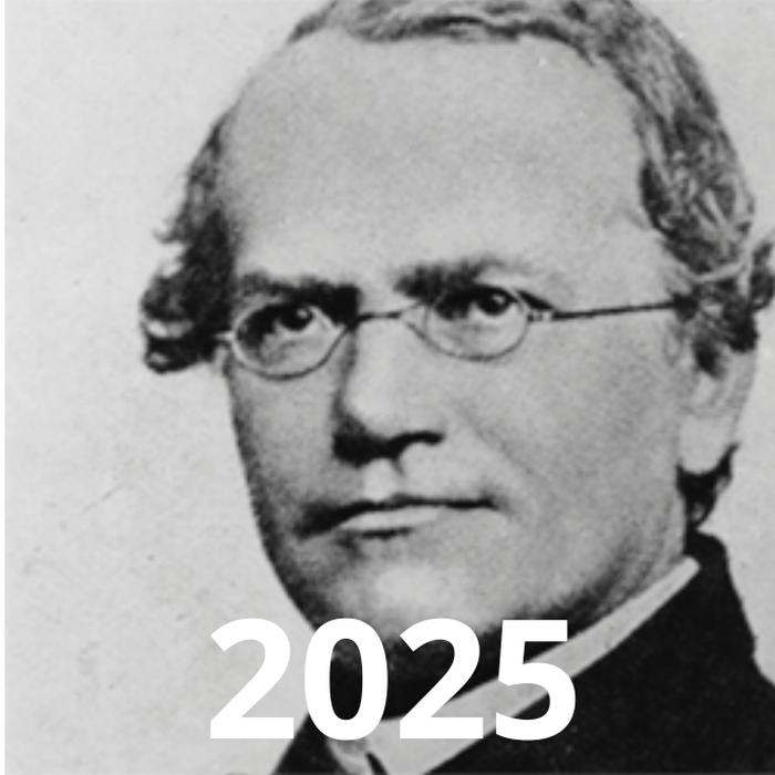 2025