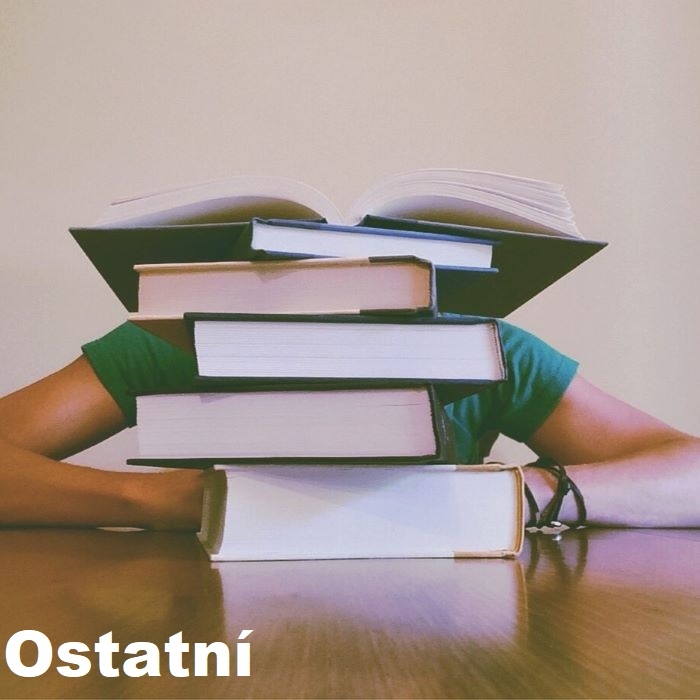 nástupy a adaptace